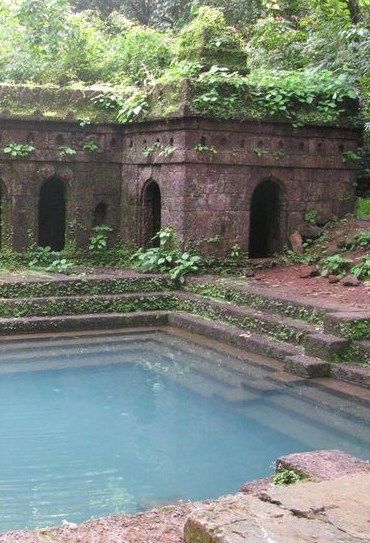 an outdoor swimming pool surrounded by greenery and stone walls in the middle of a forest