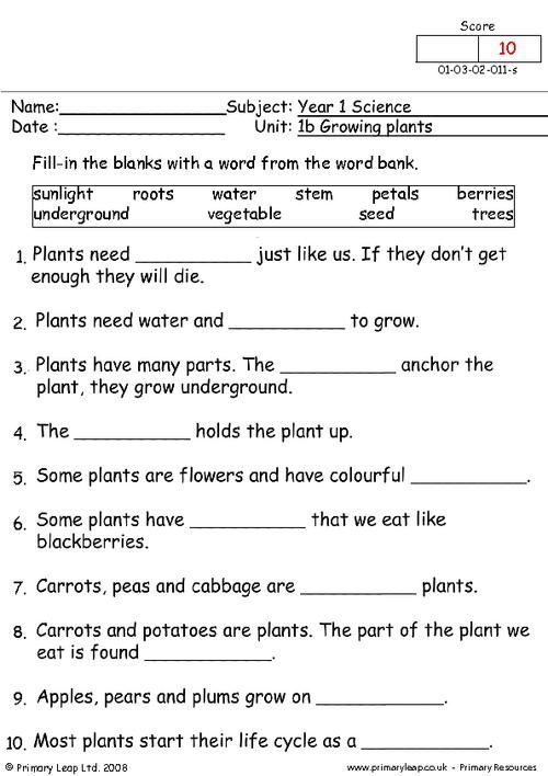 the plant life cycle worksheet is shown in red and white, with words on it