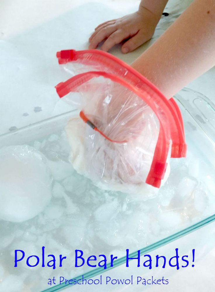 a child is playing with polar bear hands at preschool pawl packets in the water