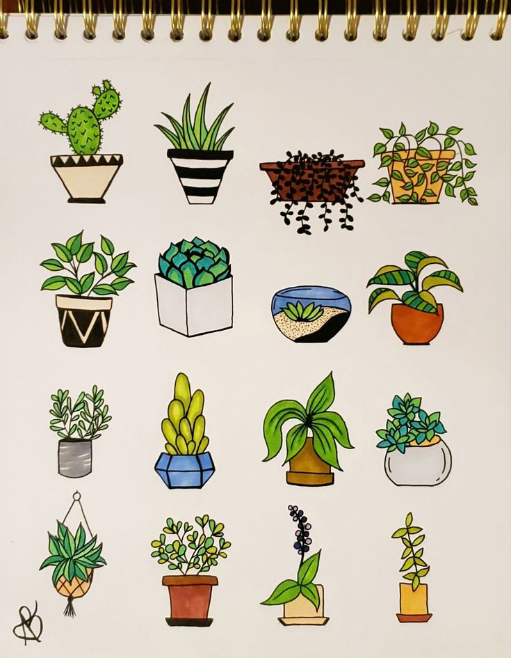 a spiral notebook with various potted plants on it