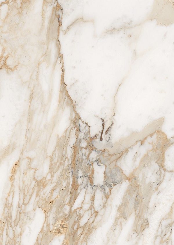 the marble is white and brown in color