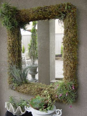 a mirror sitting on the side of a wall next to a planter filled with succulents