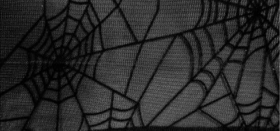 black and white photograph of spider webs on fabric