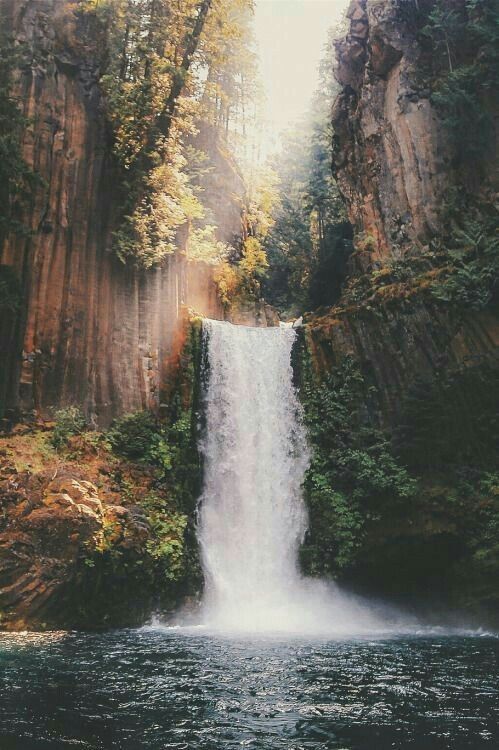 a waterfall is surrounded by trees and rocks