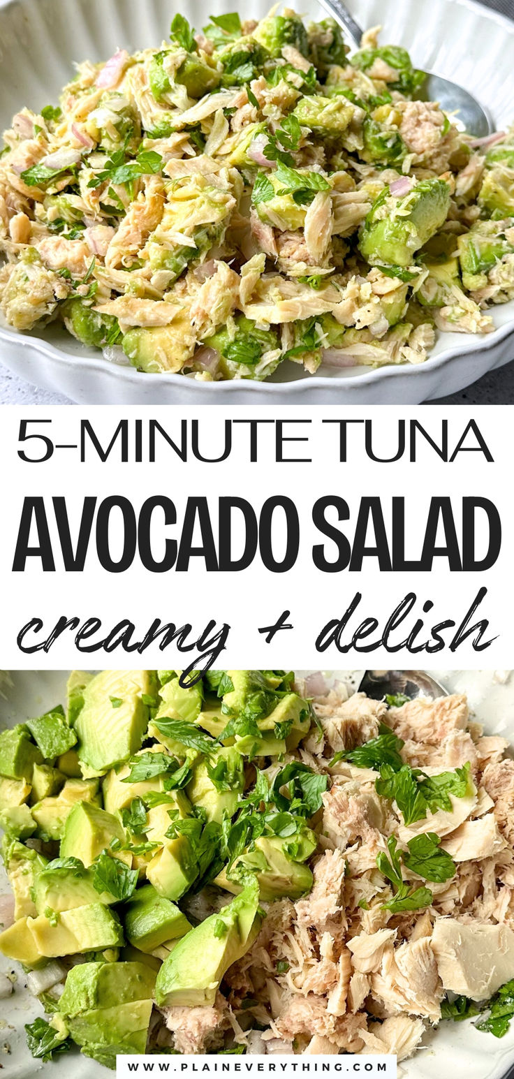 Avocado Tuna Salad | Quick + High Protein Low Cholesterol Tuna Salad, Carb Free Tuna Recipes, Cold Tuna Lunch Ideas, Tuna Salad Keto Recipes, Tuna Salad For Diabetics, Cilantro Tuna Salad, Keto Recipes Tuna, Clean Tuna Recipes, No Cook Healthy Dinner