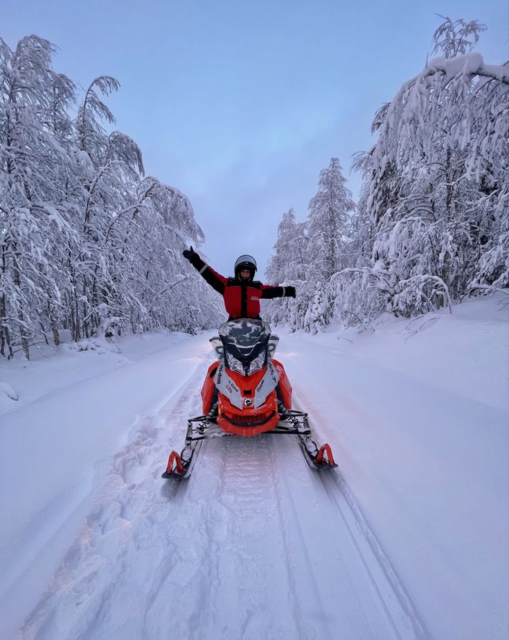 a person on a snowmobile in the middle of a snowy road with trees and bushes