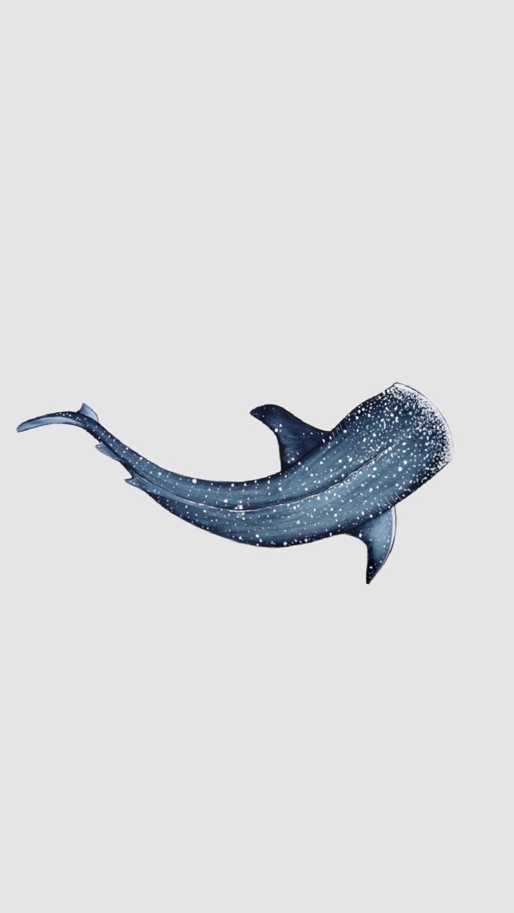 a blue whale with white dots on it's body is swimming in the water