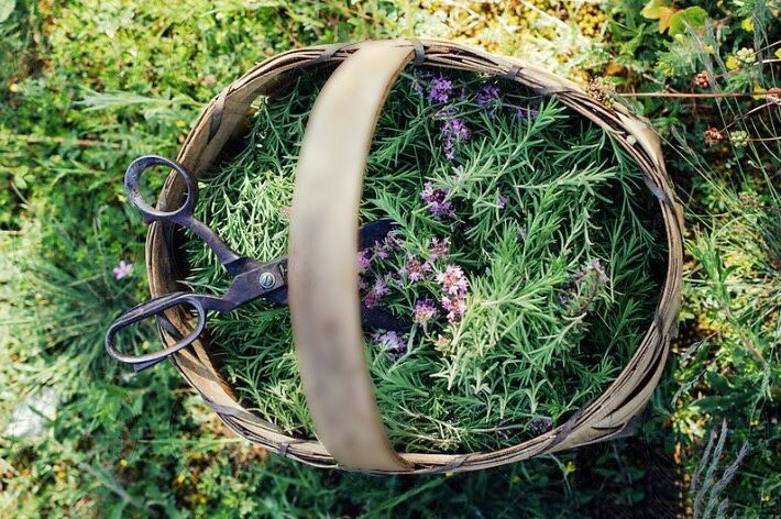 a basket filled with flowers and scissors hanging from it's side in the grass