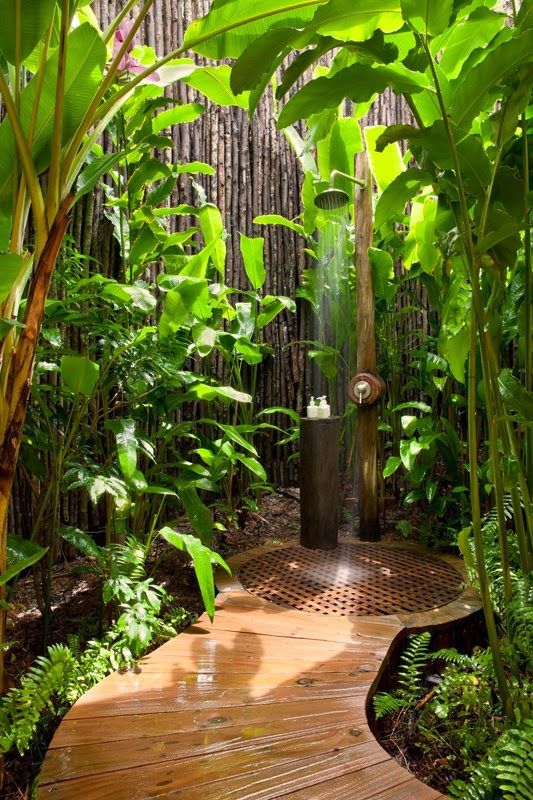 a wooden walkway surrounded by lush green plants and trees with a water fountain in the middle