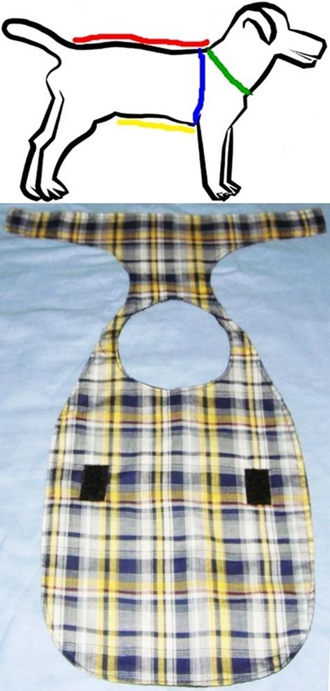 an image of a bib with a dog on the front and back side in different colors