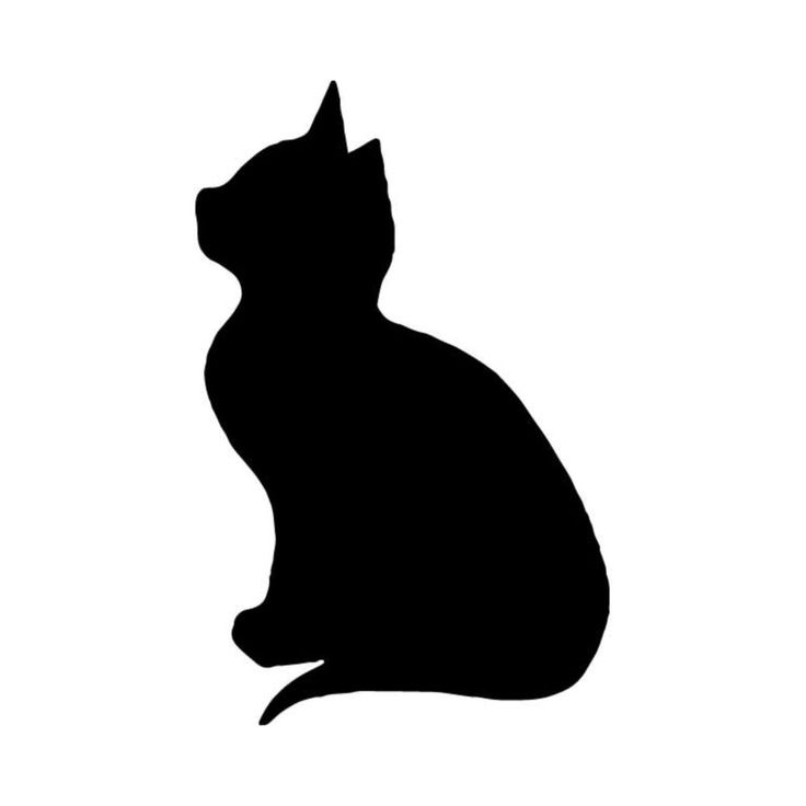 a black cat silhouette on a white background