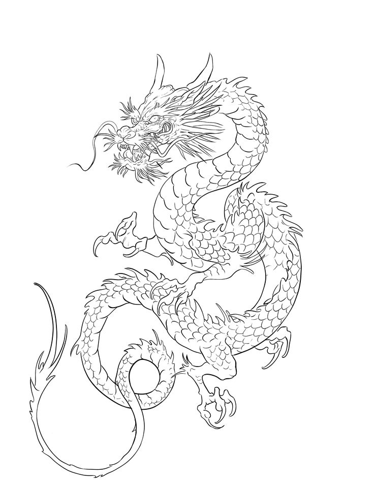 a black and white drawing of a dragon