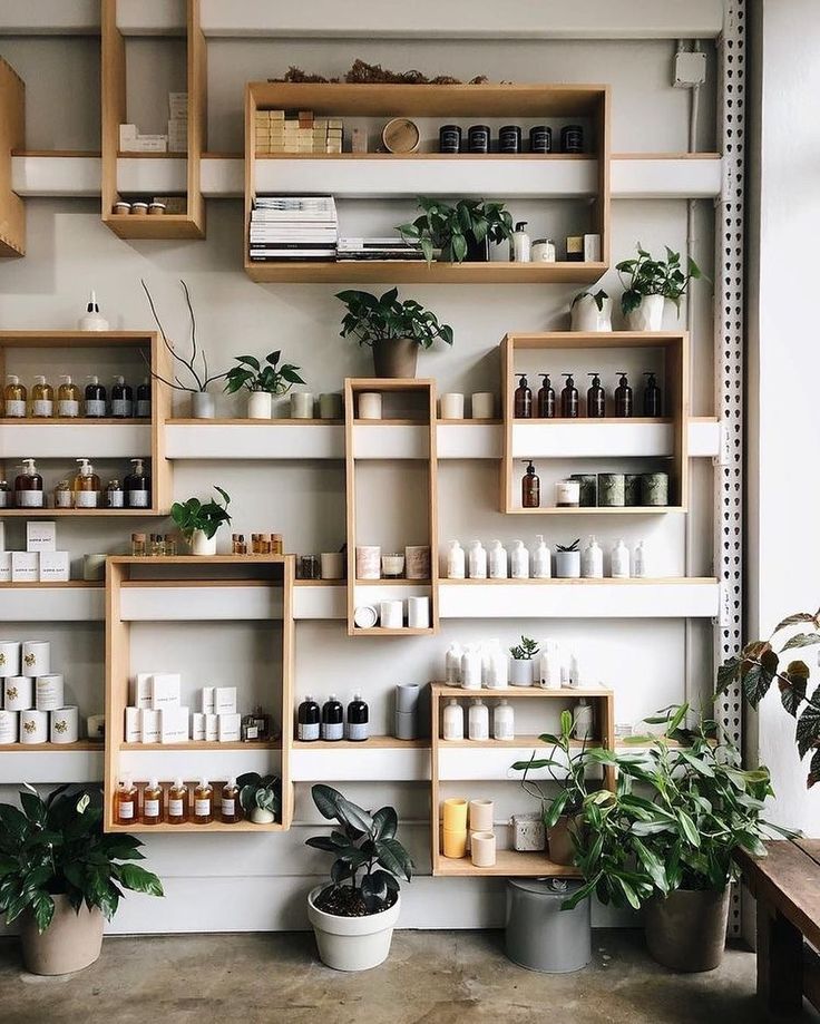 the shelves are filled with many different types of bottles and plants in pots on them