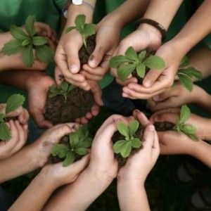 a group of people holding green plants in their hands with dirt on the ground around them