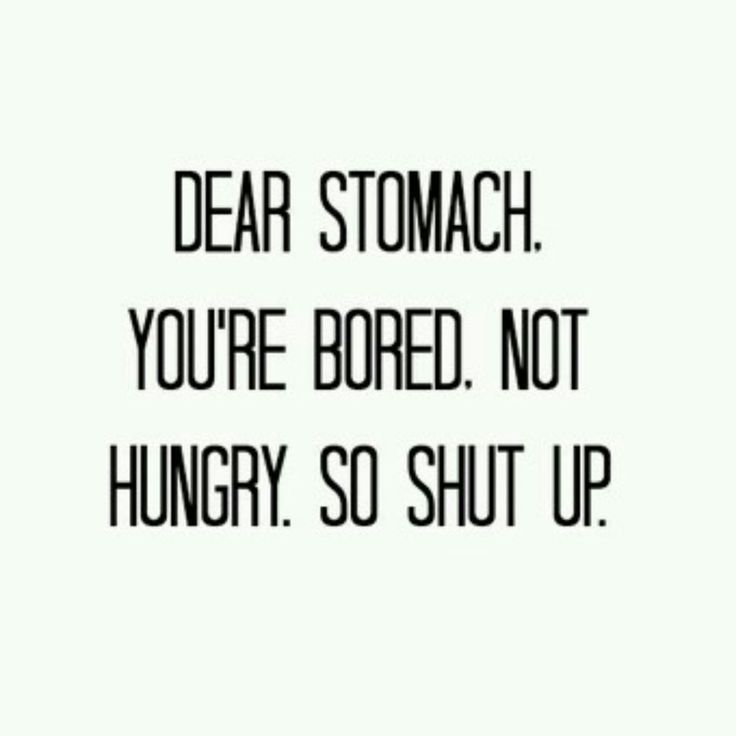 the words dear stomach you're bored not hungry, so shut up on it