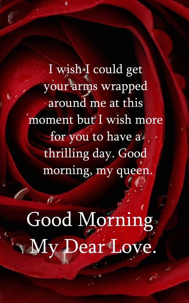 a red rose with the words good morning my dear love