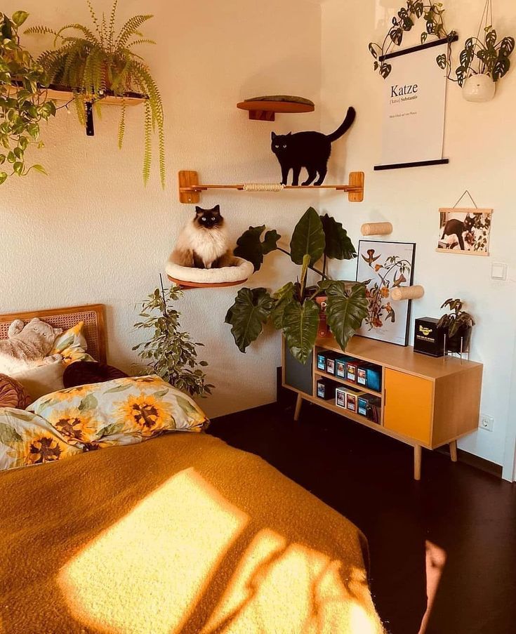 two cats sitting on top of shelves in a bedroom next to a bed and plant