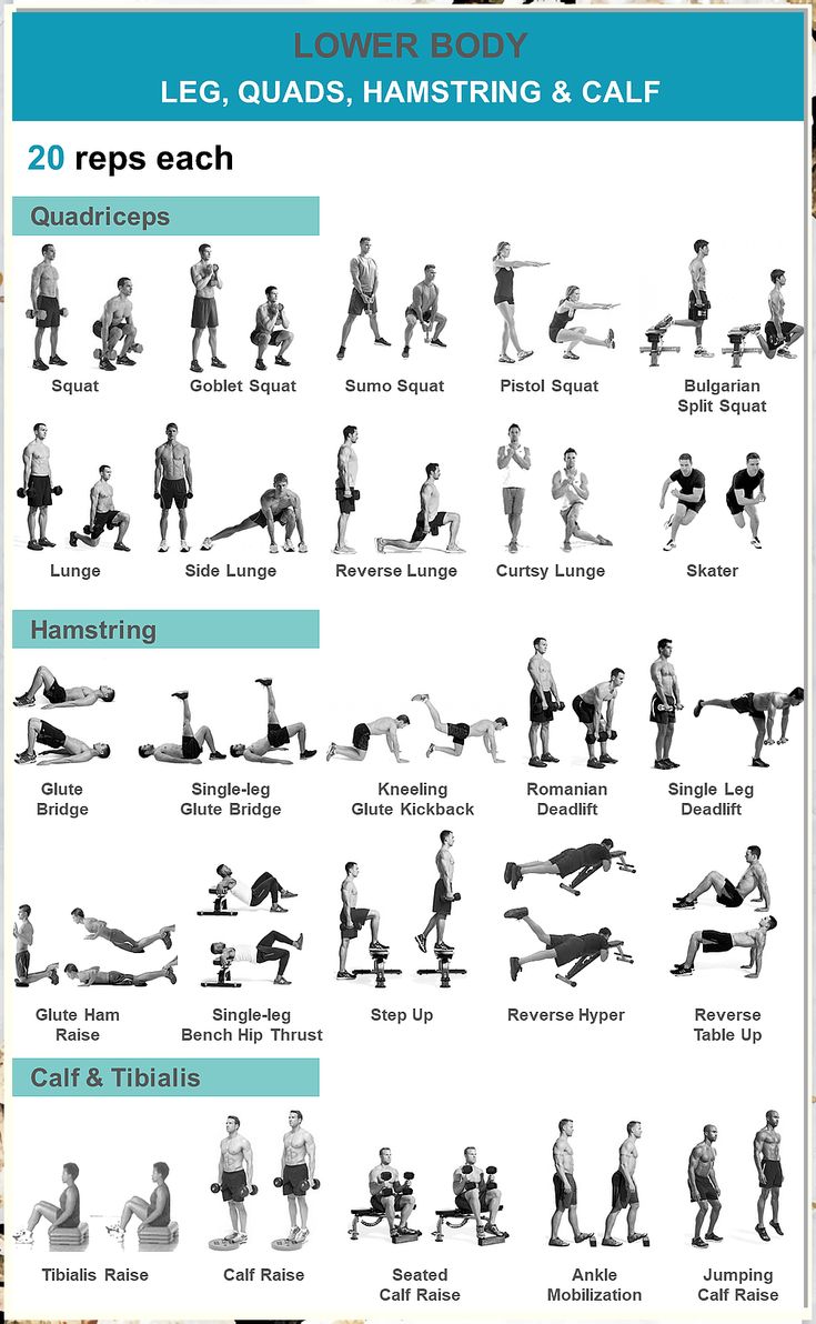 Looking to improve your fitness in record time? This fitness plan will help get you there. Calf And Hamstring Stretches, Lower Body Body Weight Exercises, Dumbell Leg Exercises, Leg With Dumbbells, Single Leg Hamstring Exercises, Lower Body Quad Workout, Body Weight Leg Day, Body Weight Quad Workout, Quads And Calf Workout