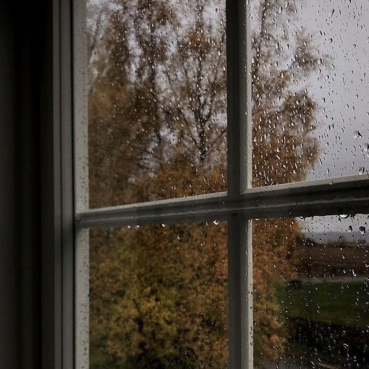 a window with rain drops on the glass and trees in the backgroung