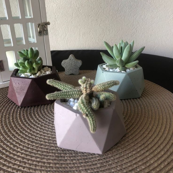 three potted plants sitting on top of a table