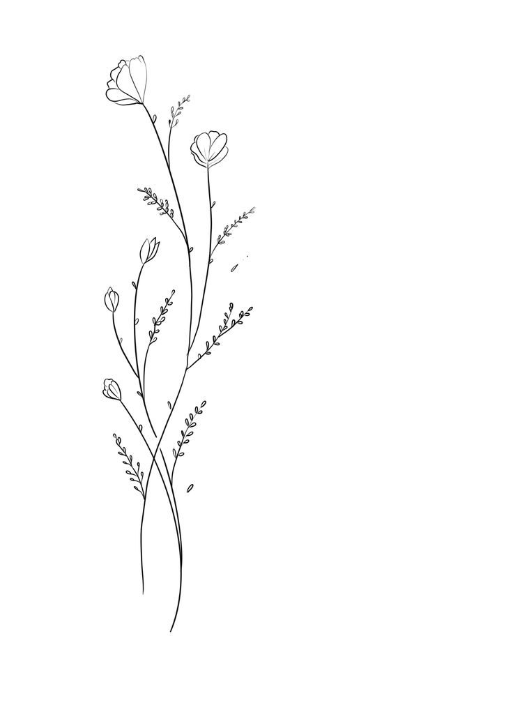 a line drawing of flowers on a white background