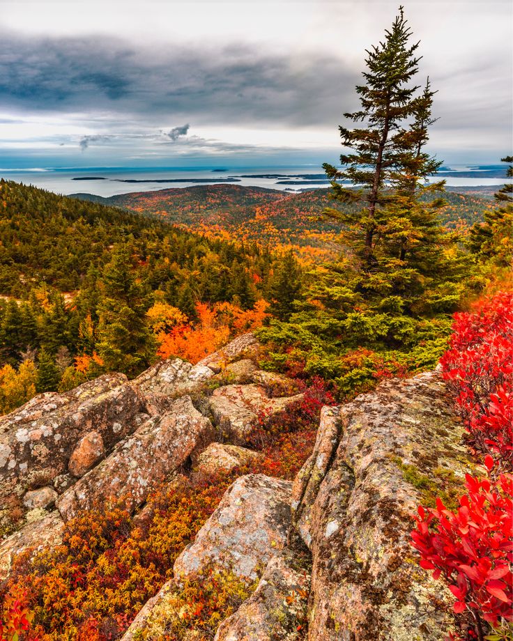 an autumn view from the top of a mountain with trees and rocks in the foreground