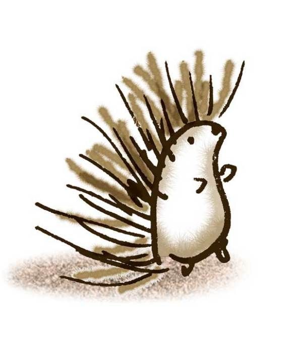 a drawing of a porcupine on a white background