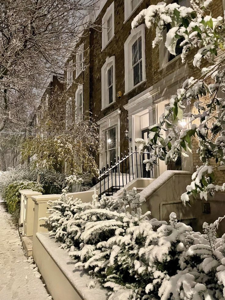 a snow covered sidewalk next to a building with trees in the foreground and bushes on either side