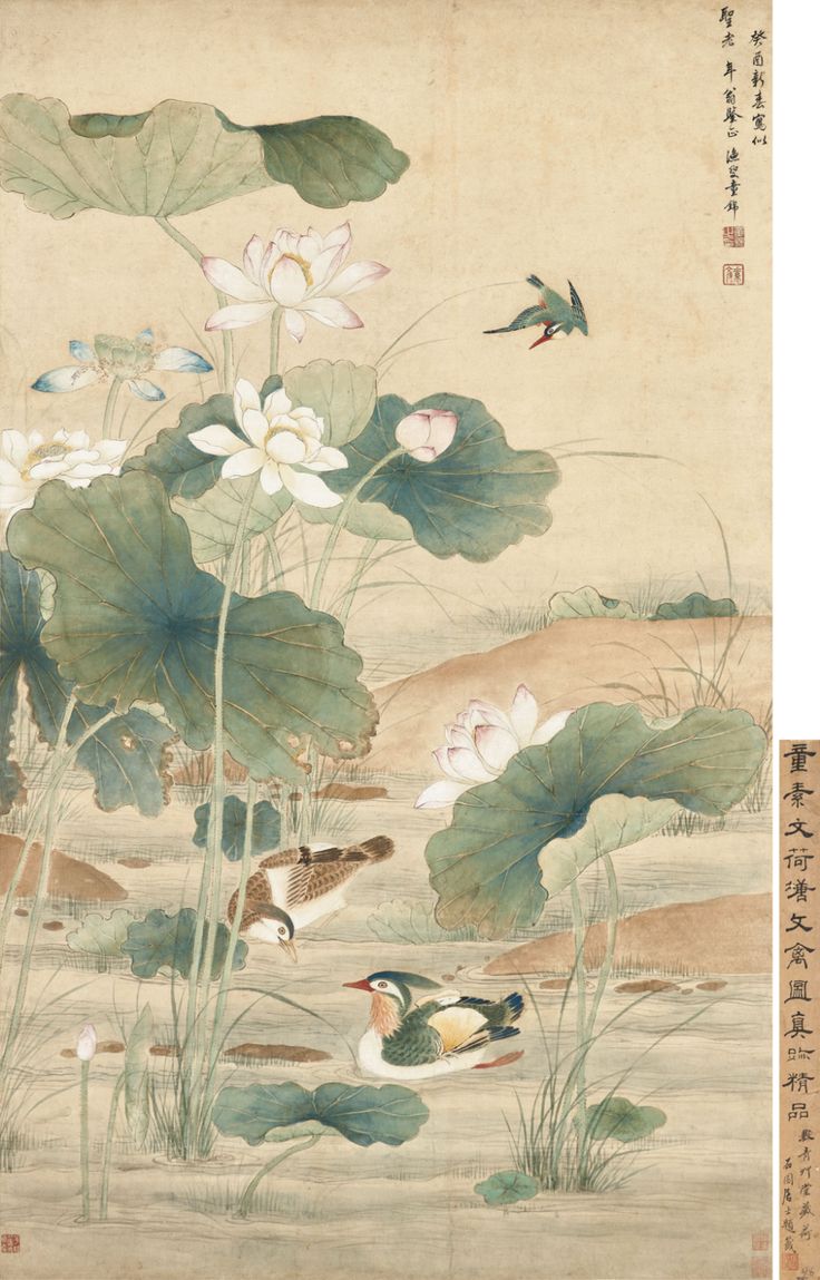 TONG JIN (18TH-19TH CENTURY) | Lotus and Mandarin Ducks | Christie's Chinese Dynasty Art, Japanese Lotus, Mandarin Ducks, Painting Japanese, Lotus Flower Art, Korean Painting, Ancient Chinese Art, Japanese Art Prints, Mandarin Duck