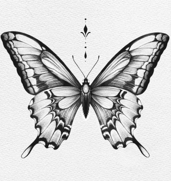 a black and white drawing of a butterfly