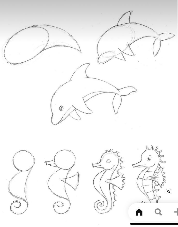 the dolphin and seahorses are drawn in different ways, including one that looks like it