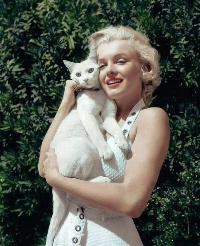 a woman holding a white cat in her arms