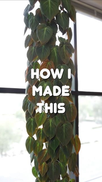 a plant with the words how i made this hanging from it's side in front of a window