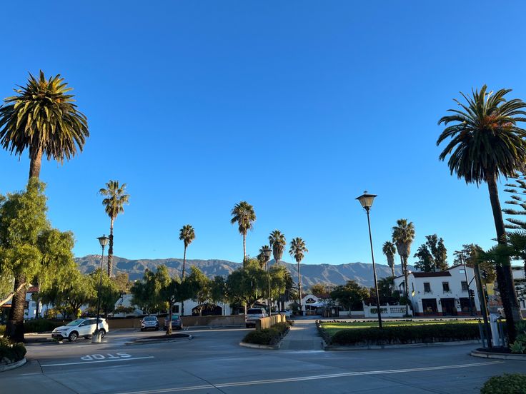 palm trees line the street in front of a white building with mountains in the background