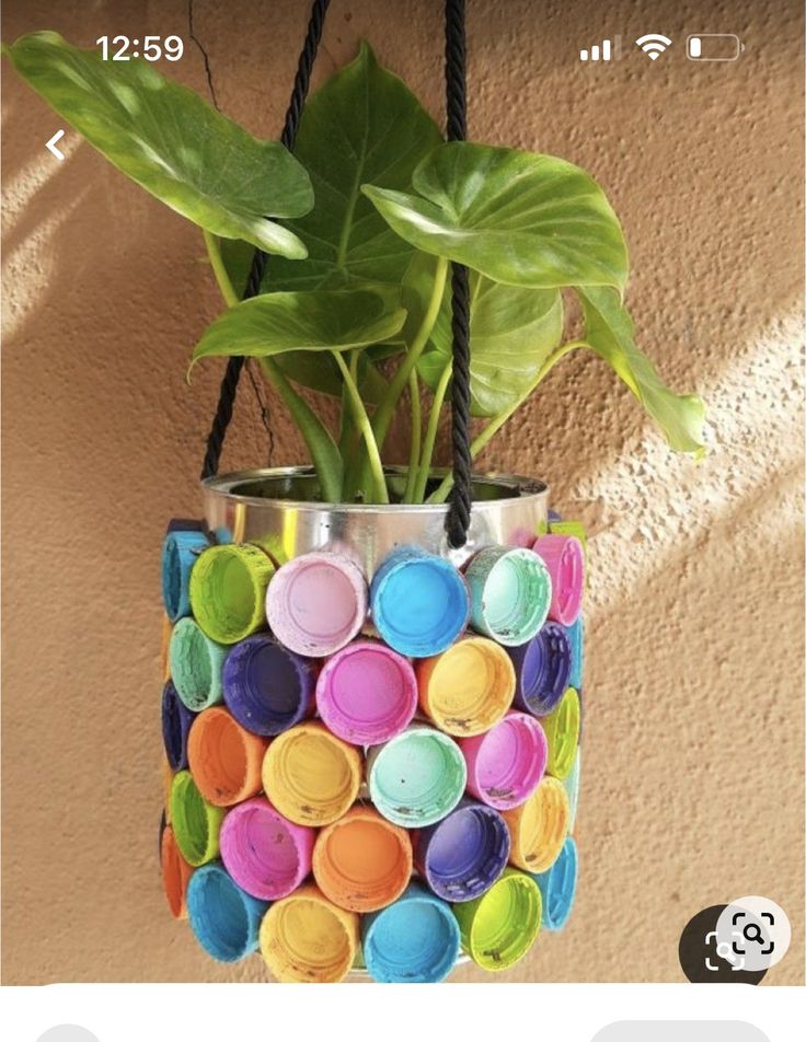 a potted plant hanging from a rope with colorful circles painted on it and attached to a wall