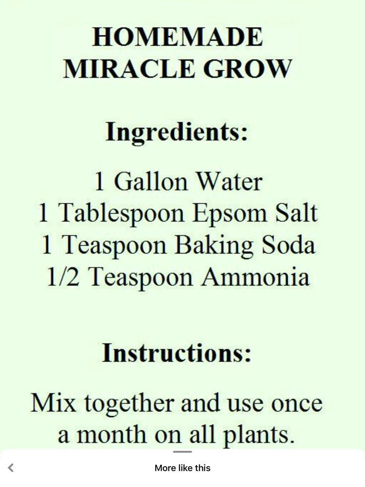 the instructions for how to make homemade miracle grow