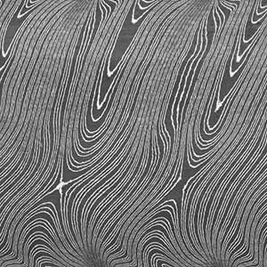 an abstract pattern with wavy lines in black and white, on a gray background photo