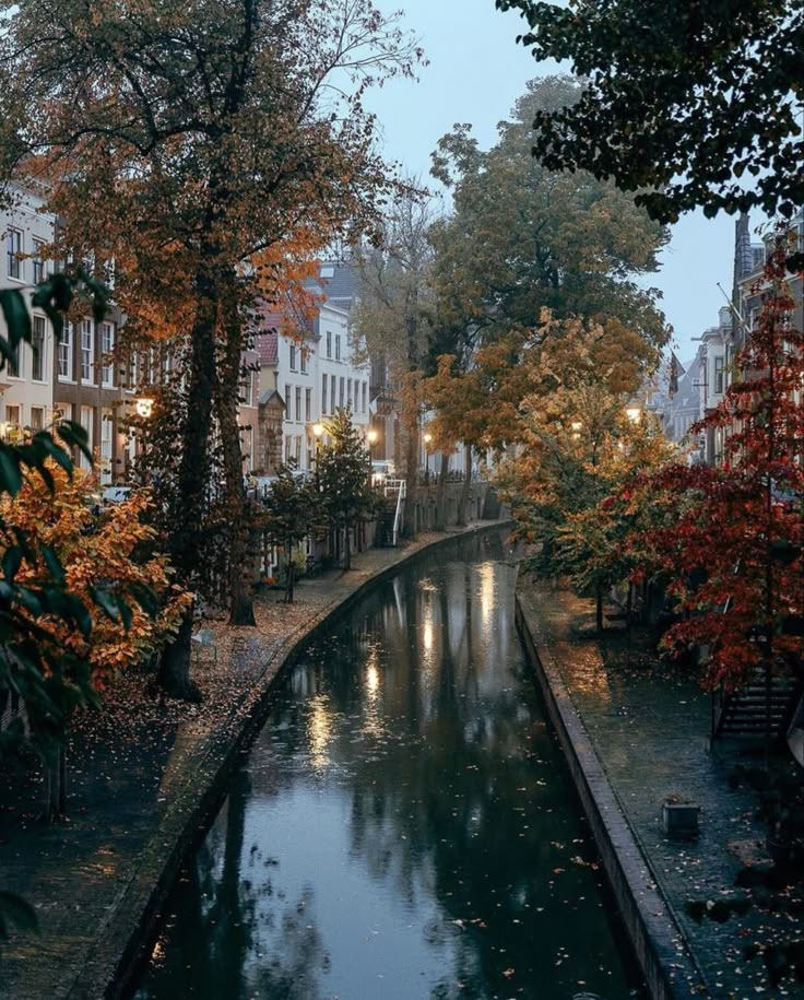 a river running through a lush green forest filled with lots of leaf covered trees next to tall buildings