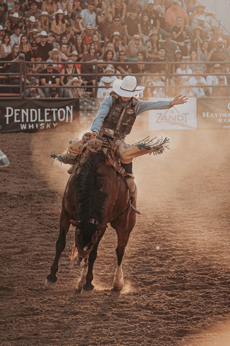 Guy riding a bucking horse at a rodeo Bronco Aesthetic, Rodeo Aesthetic, Aesthetic Cowboy, Rodeo Rider, Bronc Riding, Rodeo Events, Rodeo Cowboys, Cowboy Romance, Cowboy Aesthetic