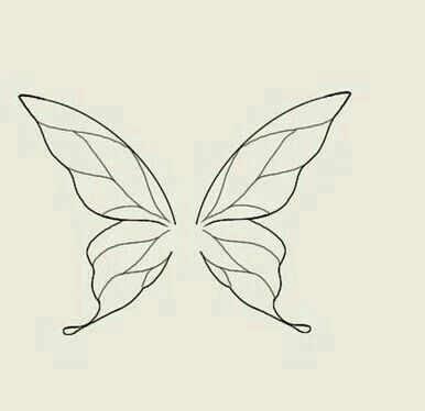 the outline of a butterfly's wings