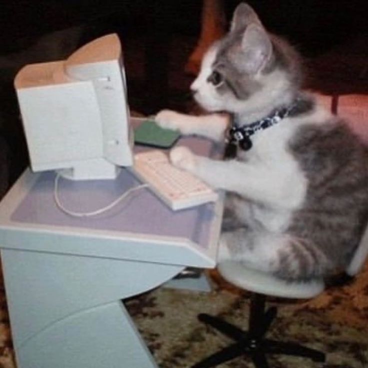 a cat is sitting on a chair and playing with a toy laptop that's attached to the desk