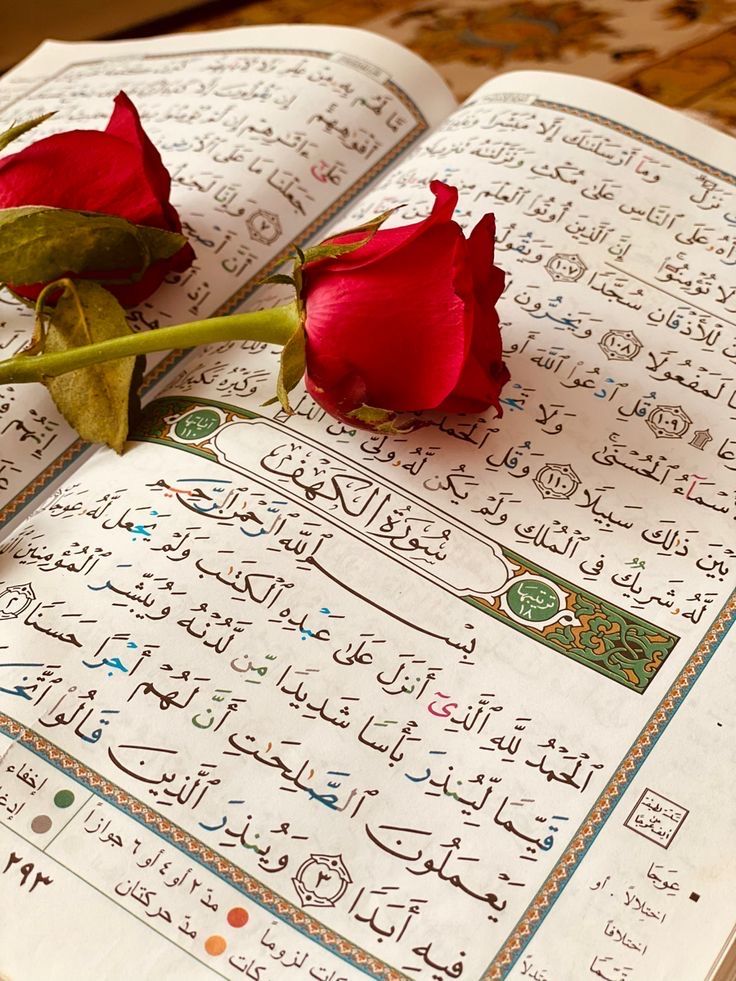 a red rose sitting on top of an open book with arabic writing and calligraphy