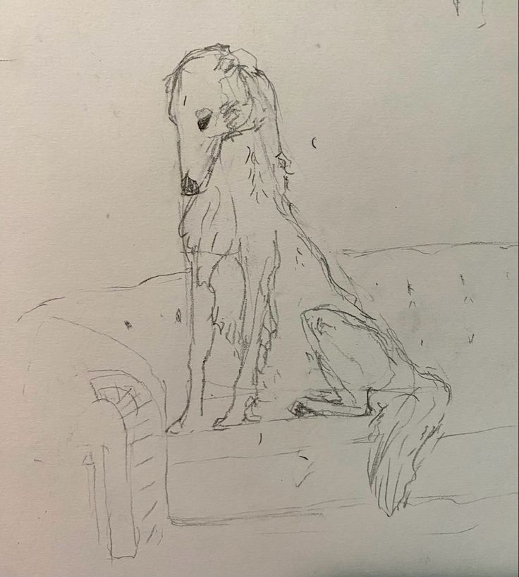 a drawing of a dog sitting on top of a couch