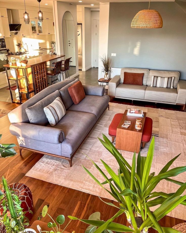 a living room filled with furniture and lots of plants