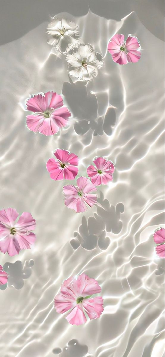 pink and white flowers floating in water with ripples