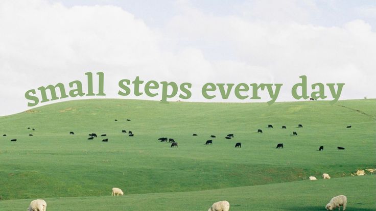 sheep graze in a green field with the words small steps every day above them