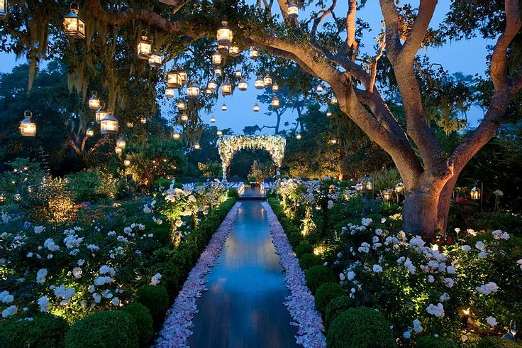 the walkway is lined with white flowers and lit lanterns hanging from the trees in the background