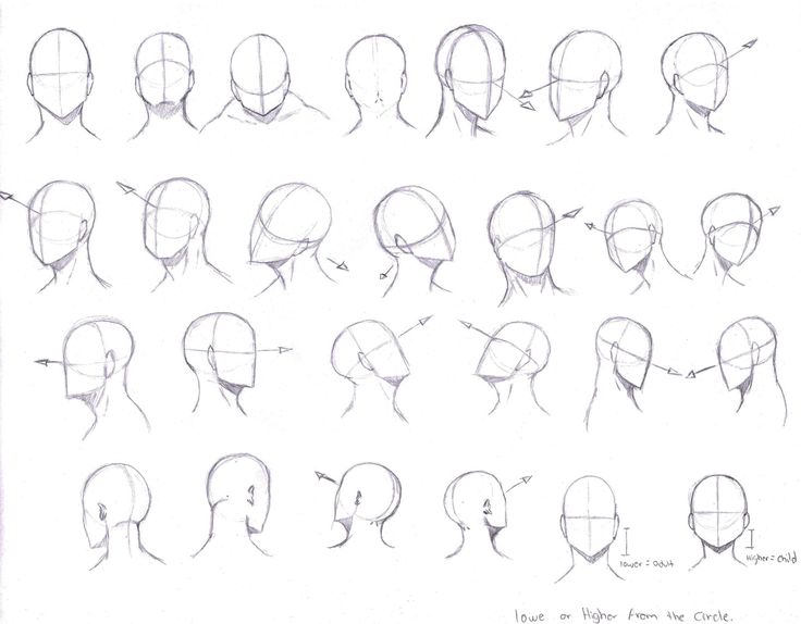 an image of the head and shoulders of a person with different facial expressions on it