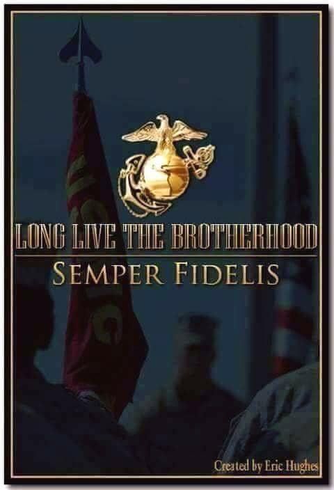 the cover of long live the brotherhood by semper fiedis, featuring an eagle and flag