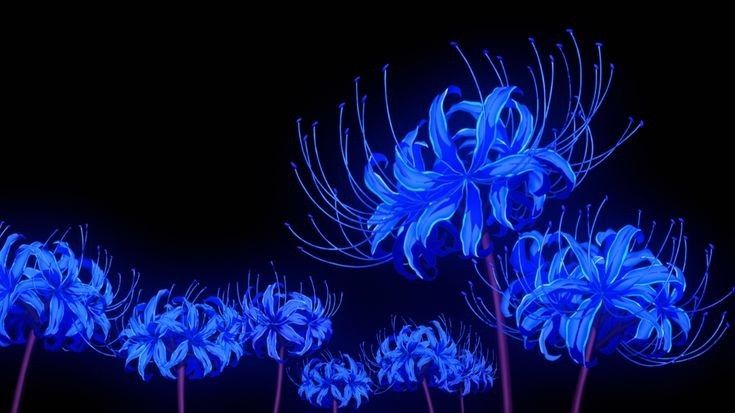 blue flowers are lit up in the dark